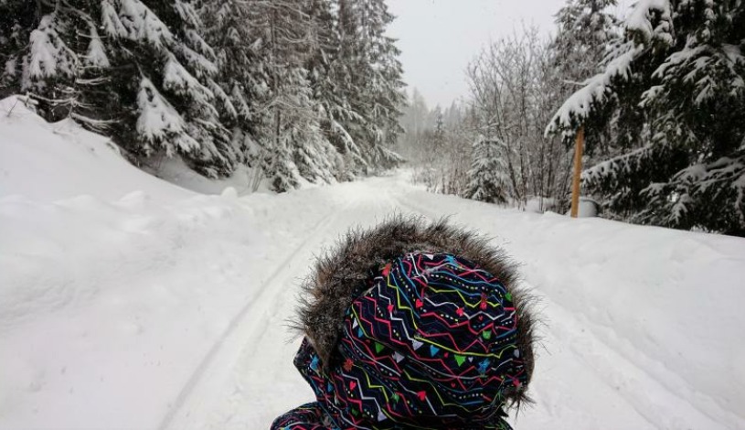 Hotel CROCUS **** Vysoké Tatry